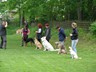 SAM_0176