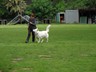 SAM_0178