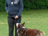 SAM_0191_2
