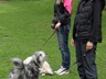 SAM_0193_2