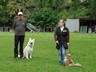 SAM_0194_1