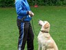 SAM_0195_1