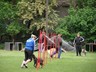SAM_0199