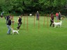 SAM_0217