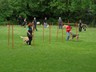 SAM_0220