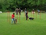 SAM_0222