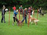 SAM_0225