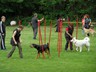 SAM_0230