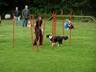 SAM_0236