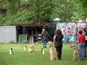 SAM_0238
