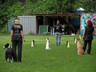 SAM_0239