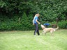 SAM_0253