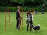 SAM_0267_1