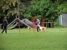 SAM_0273