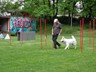 SAM_0280
