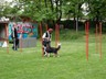 SAM_0288