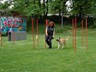SAM_0291
