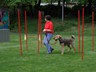 SAM_0297