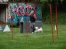 SAM_0307