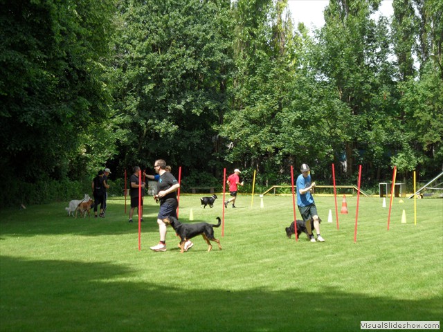 SAM_0483