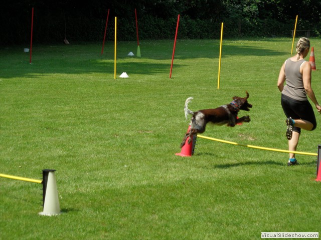 SAM_0602