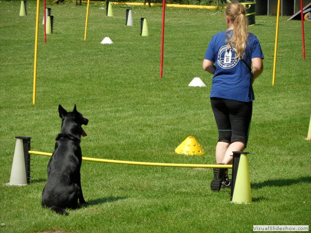 SAM_0607