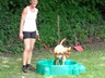 SAM_0460_1