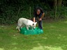 SAM_0461