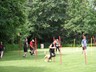 SAM_0492