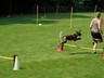 SAM_0602