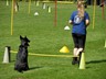 SAM_0607